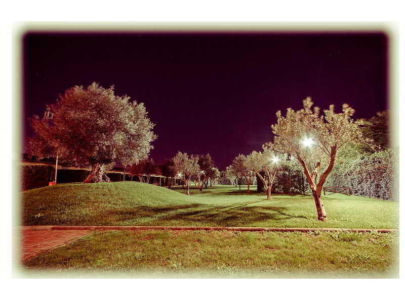 โรงแรมออลเวย์การ์เดนแอนด์ไลชัวร์ โรม ภายนอก รูปภาพ